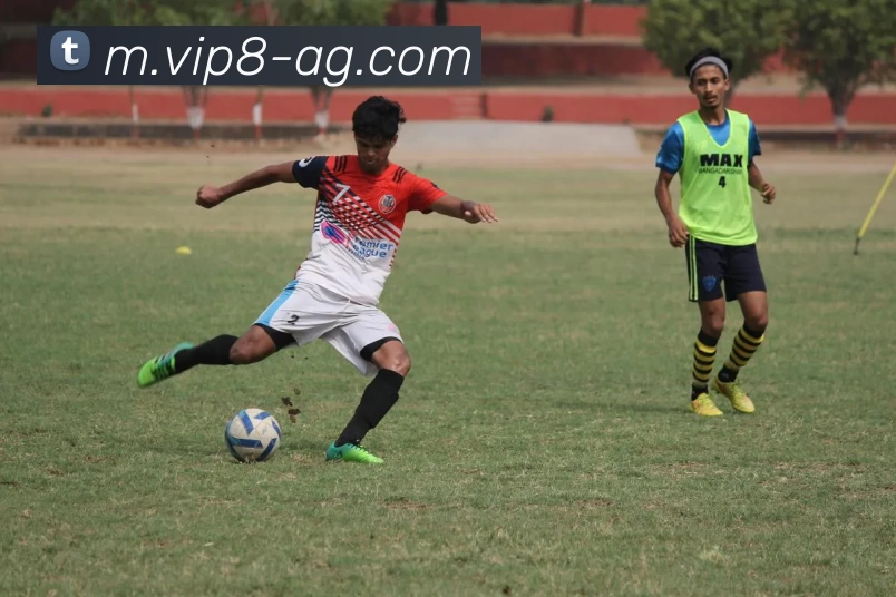 AG娱乐平台生态图